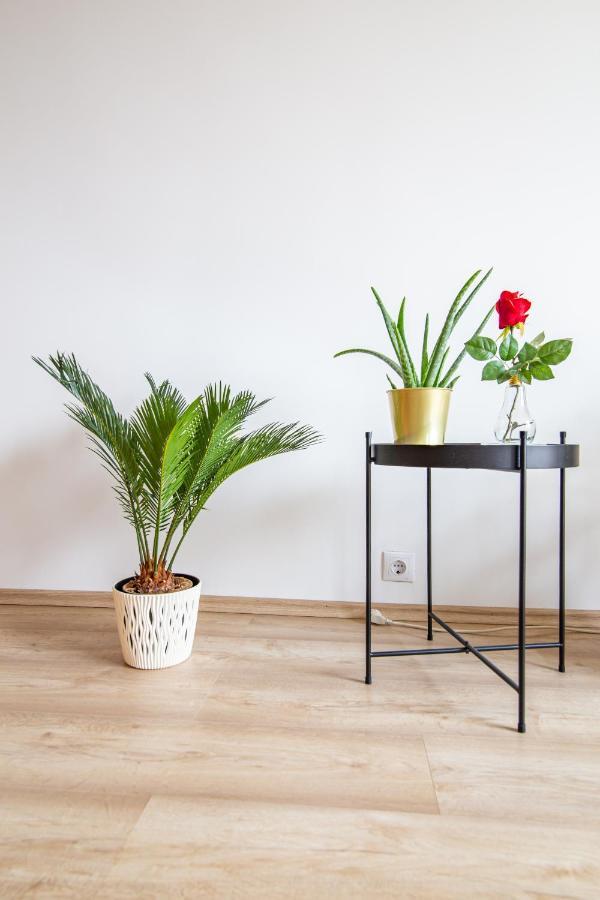 Best Rated Central Apartment Vienna - Ac, Wifi, 24H7Days Self Check-In, Board Games, Netflix Exterior photo
